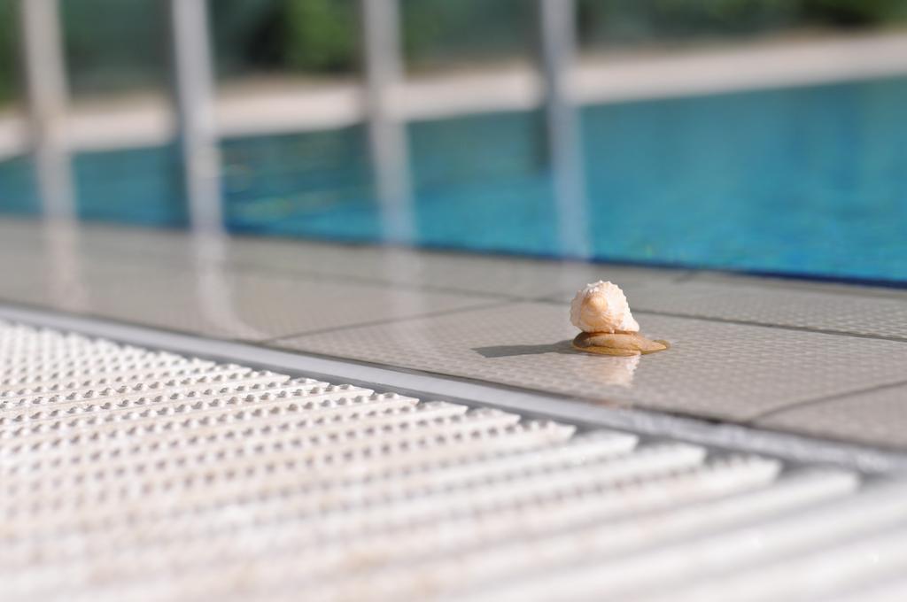 Aqua Wellness Apartments Hajdúszoboszló Cameră foto